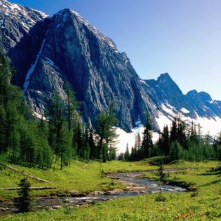 Summer mountians desktop wallpaper