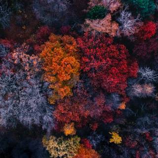 4k autumn laptop wallpaper