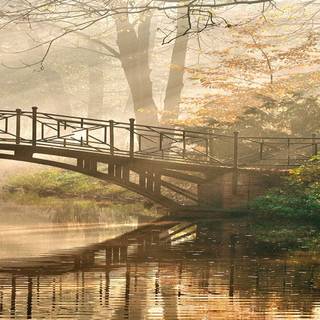 Autumn 3840x1080 4k wallpaper