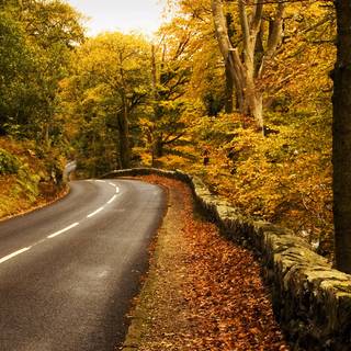 Fall Dual Monitor wallpaper