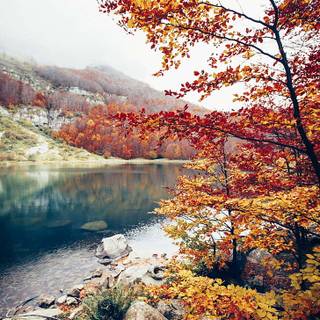 Autumn season portrait wallpaper