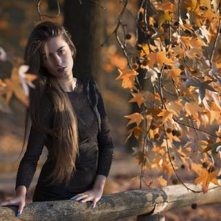 Autumn season portrait wallpaper