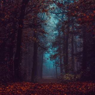Autumn forest art wallpaper