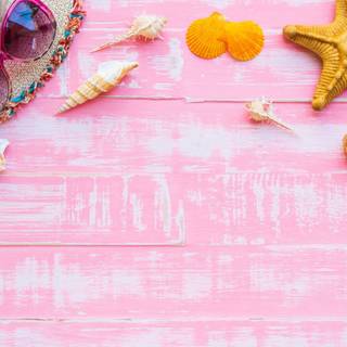 Summer seashell wallpaper