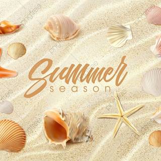 Summer seashell wallpaper