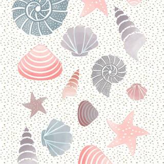 Summer seashell wallpaper