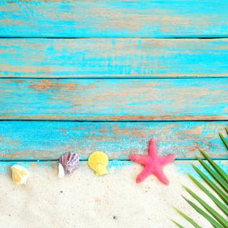 Summer seashell wallpaper