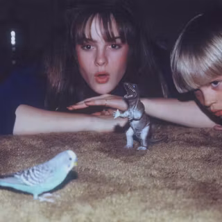Big Thief wallpaper