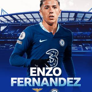 Enzo Fernandez Chelsea wallpaper