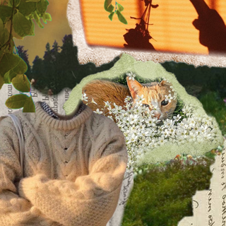 Superache wallpaper