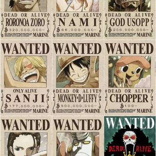 Robin bounty wallpaper
