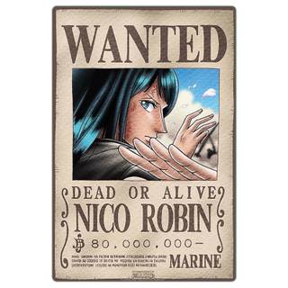 Robin bounty wallpaper