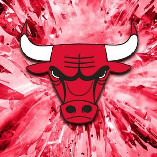Chicago Bulls basketball wallpaper