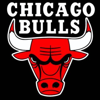 Chicago Bulls basketball wallpaper
