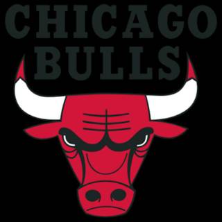 Chicago Bulls basketball wallpaper