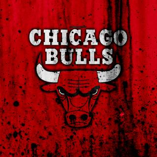 Chicago Bulls basketball wallpaper