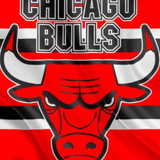Chicago Bulls basketball wallpaper