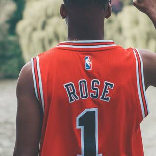 Chicago Bulls basketball wallpaper