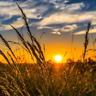 Summer sun 4k wallpaper