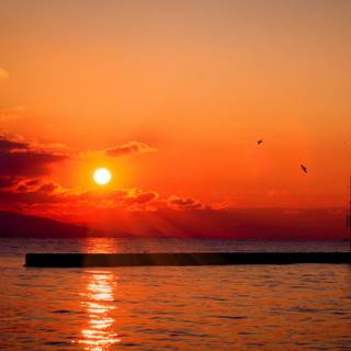 Summer sun 4k wallpaper