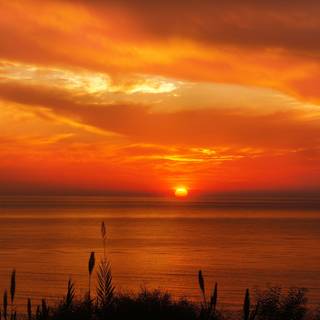 Summer sun 4k wallpaper