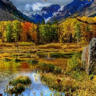 1080x1920 autumn wallpaper