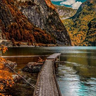 1080x1920 autumn wallpaper