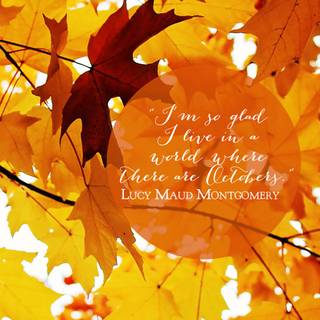 1080x1920 autumn wallpaper