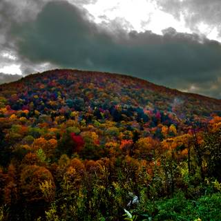 Autumn cloudy wallpaper