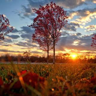 Autumn cloudy wallpaper
