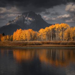 Autumn cloudy wallpaper