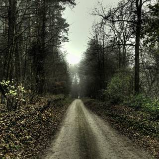 Autumn cloudy wallpaper