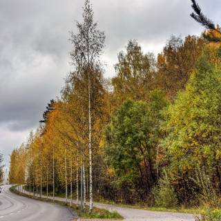 Autumn cloudy wallpaper