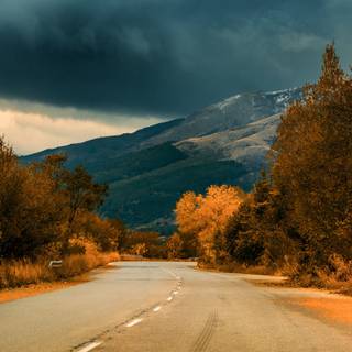 Autumn cloudy wallpaper