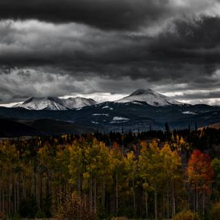 Autumn cloudy wallpaper