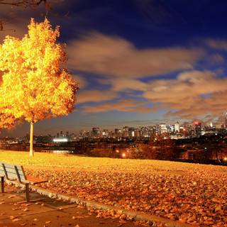 Autumn city 4k wallpaper