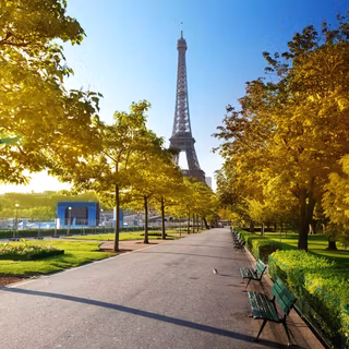 Paris autumn 4k wallpaper