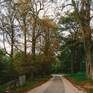 Paris autumn 4k wallpaper