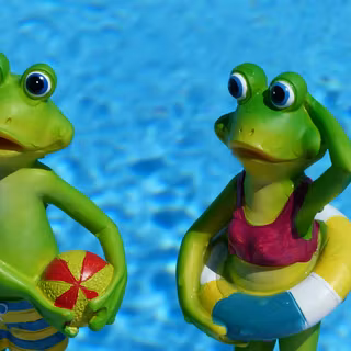 Frog summer wallpaper