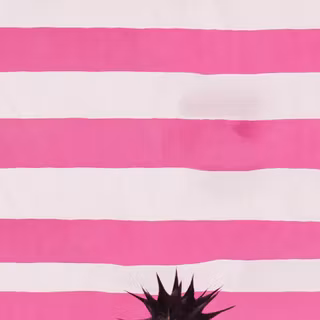 Pink Tape wallpaper