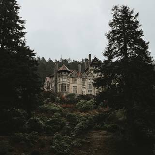 Old mansion wallpaper