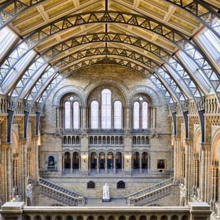 History 4k wallpaper