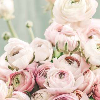 Pastel flowers autumn wallpaper