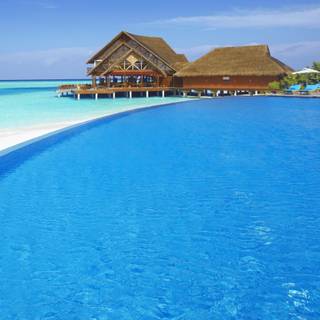 Summer pool resort wallpaper