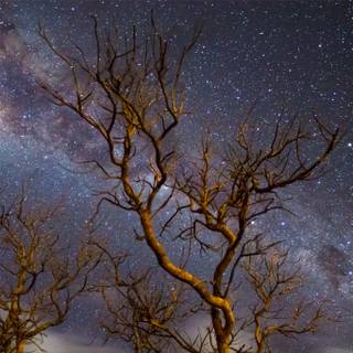 4k milky way wallpaper