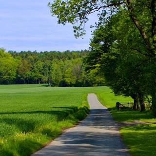 Summer nature desktop wallpaper