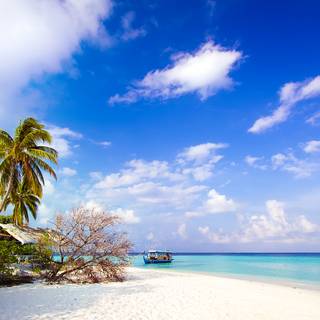 Beach and sky wallpaper