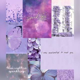 Speak Now Taylor's Version wallpaper