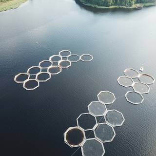 Fish farm wallpaper