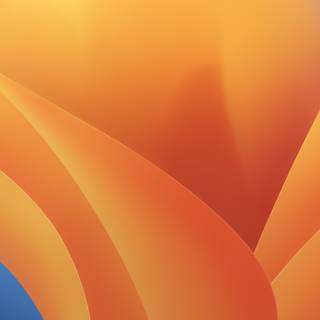 Mac Ventura wallpaper